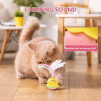 Automatic Spinning Feather Toy with LED