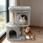 26" Cat Tower with Dual Condos