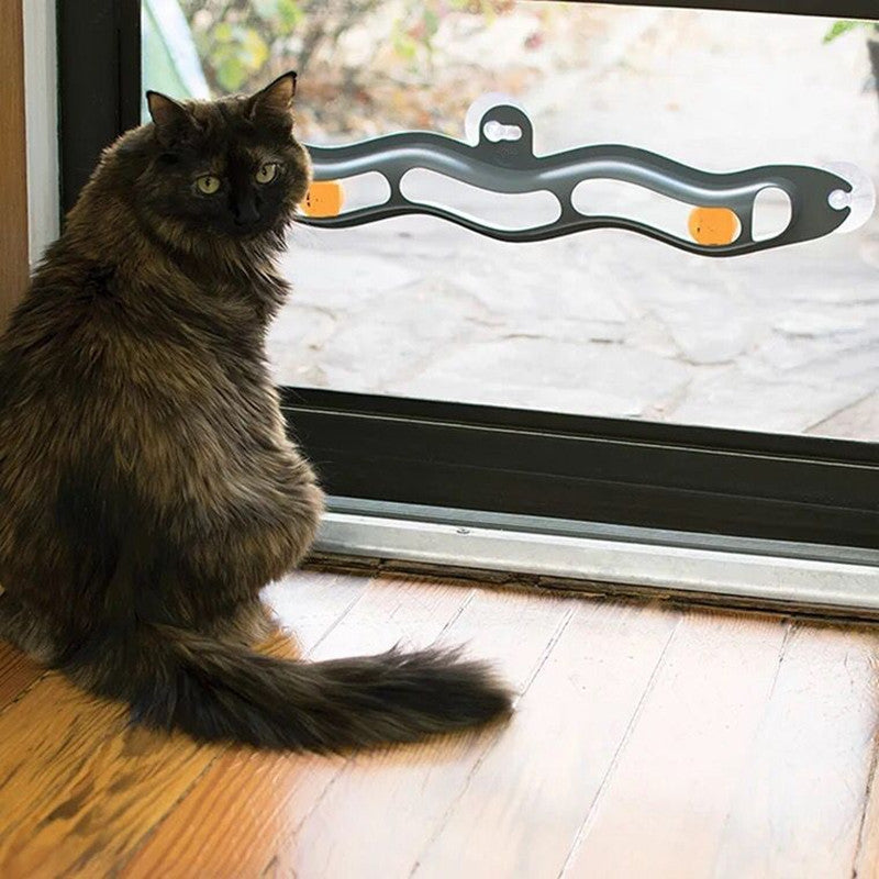 Window Suction Track Ball Toy