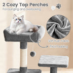 66" Cat Tree with 2 Condos