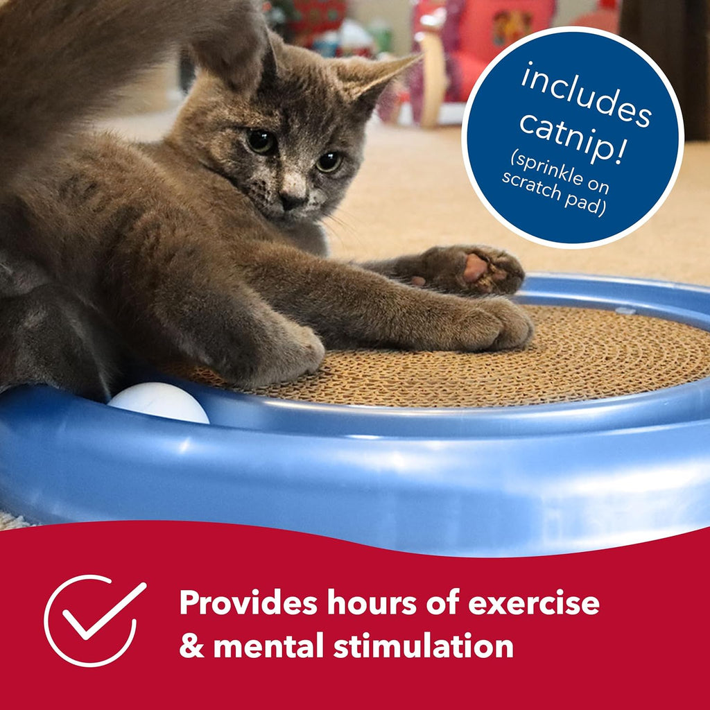 Bergan Turbo Scratcher with Track Ball