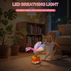 Automatic Spinning Feather Toy with LED