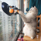 Window Suction Track Ball Toy