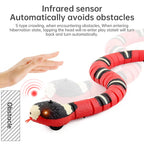 Smart Sensing Electronic Snake Toy