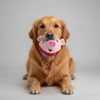 Interactive Jumping Pig Ball