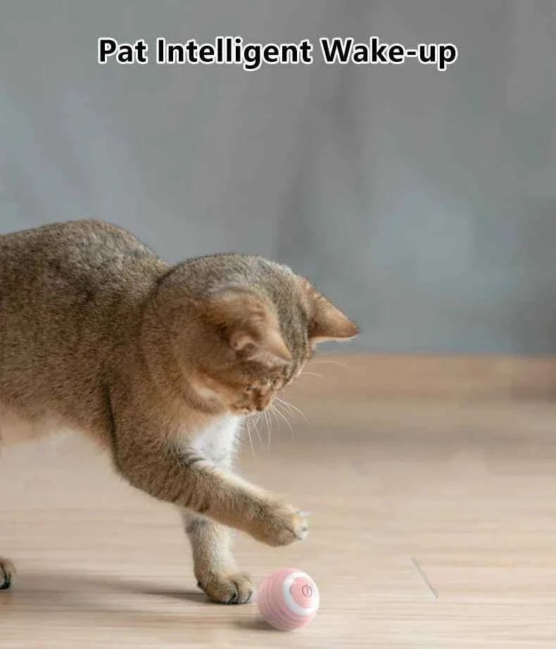 Smart Auto-Rolling Ball