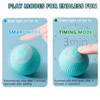 Smart Auto-Rolling Ball