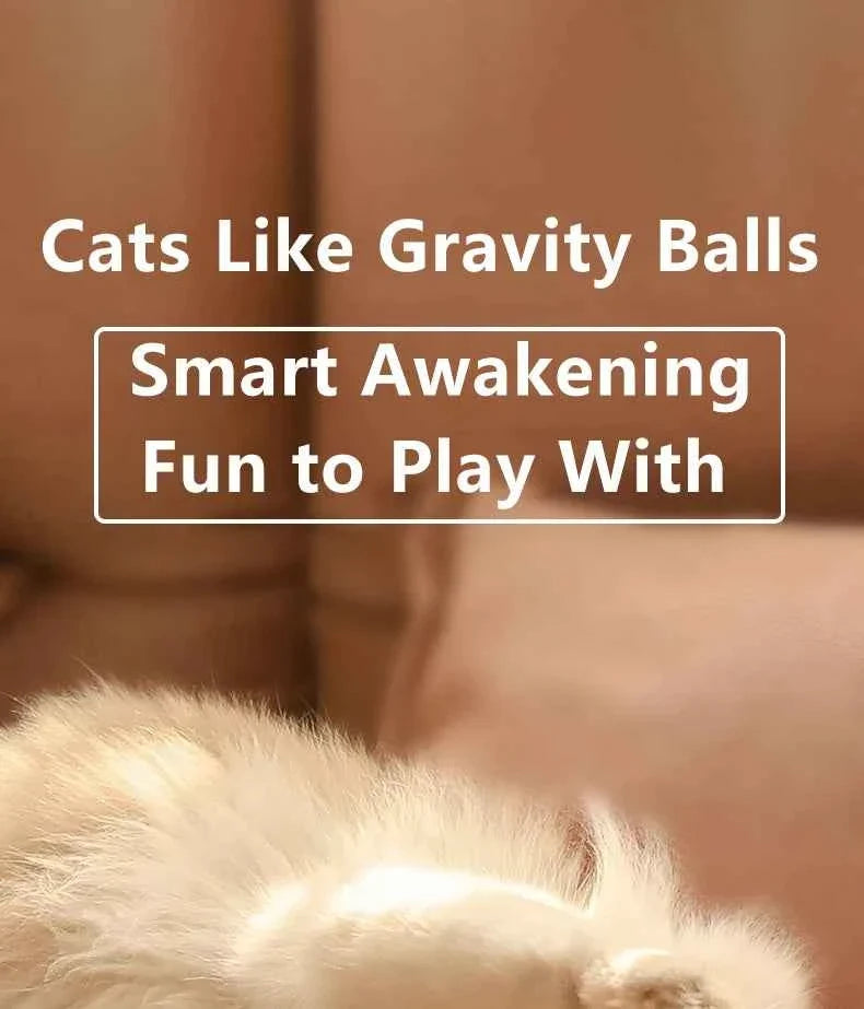 Smart Auto-Rolling Ball