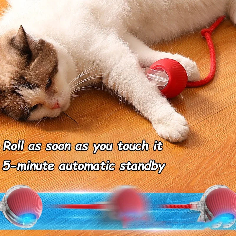 Motion-Sensor Rolling Ball
