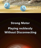 Smart Auto-Rolling Ball