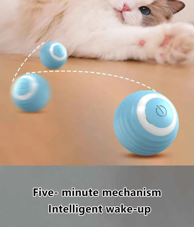 Smart Auto-Rolling Ball