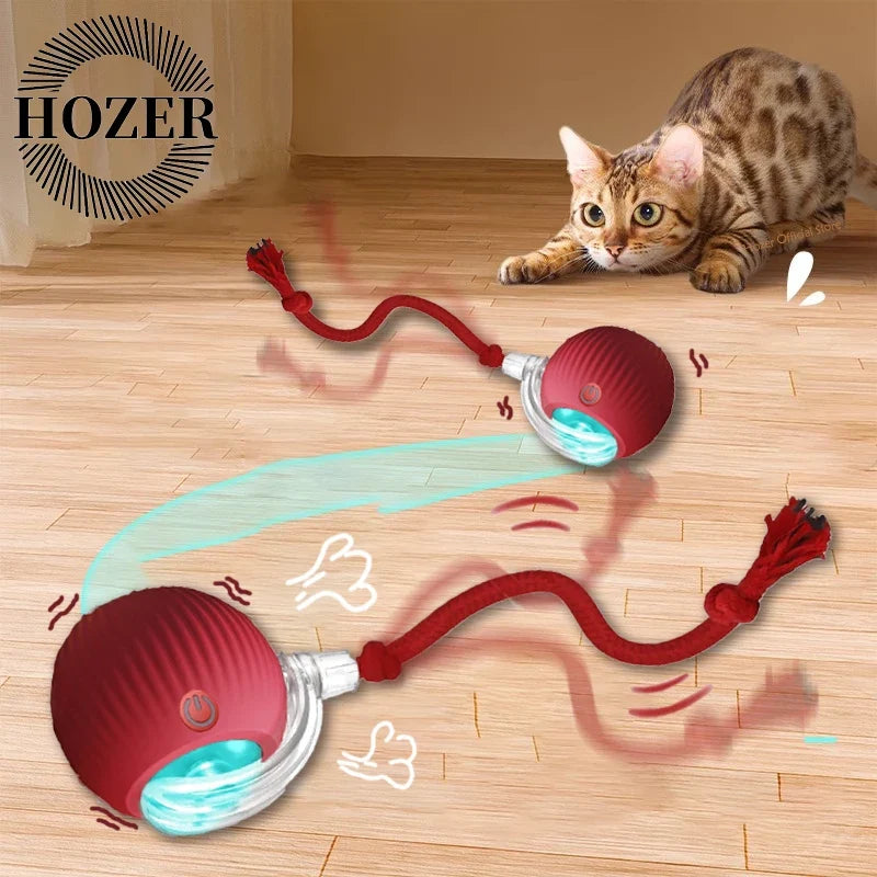 Motion-Sensor Rolling Ball