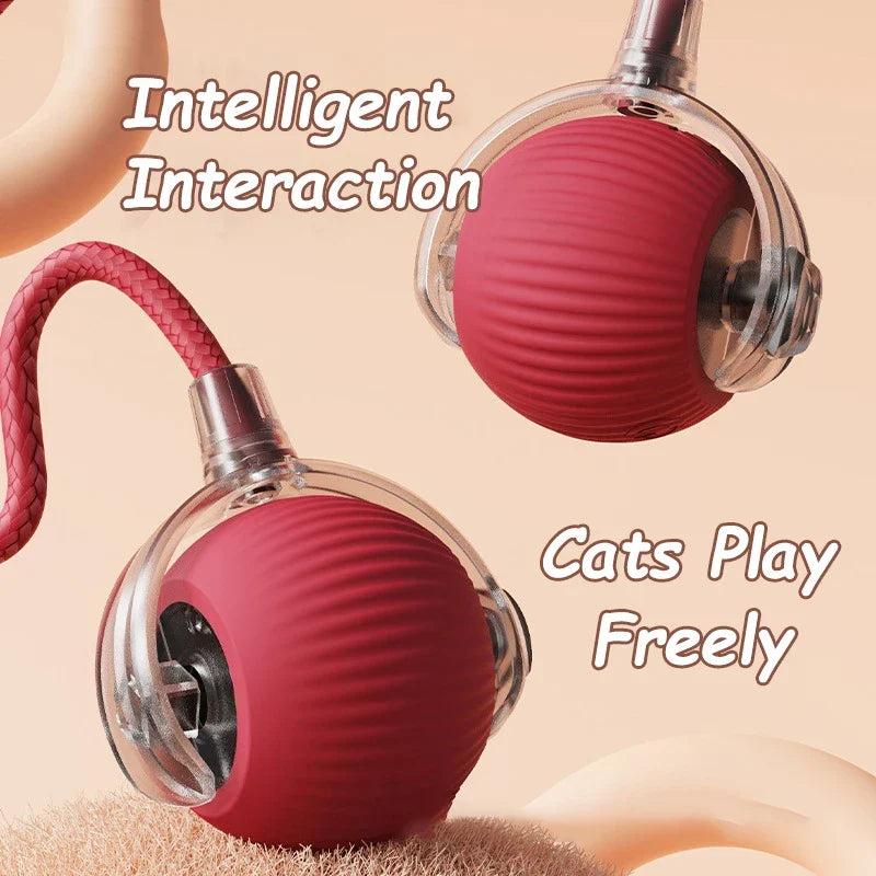 Motion-Sensor Rolling Ball