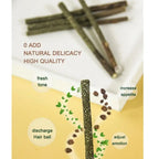 Silvervine Chew Sticks, 6-Pack