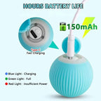 Smart Auto-Rolling Ball