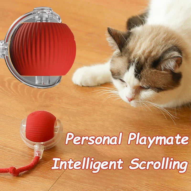 Motion-Sensor Rolling Ball