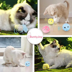 Chirping Plush Cat Balls