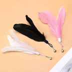 Natural Feather Teaser with Suction Cup