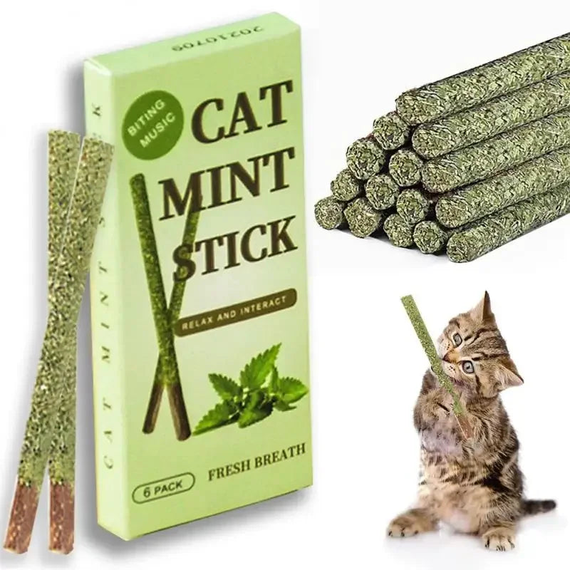 Silvervine Chew Sticks, 6-Pack