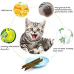 Silvervine Chew Sticks, 6-Pack
