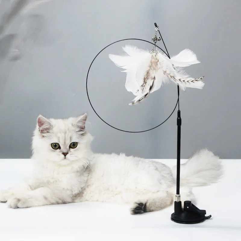 Natural Feather Teaser with Suction Cup