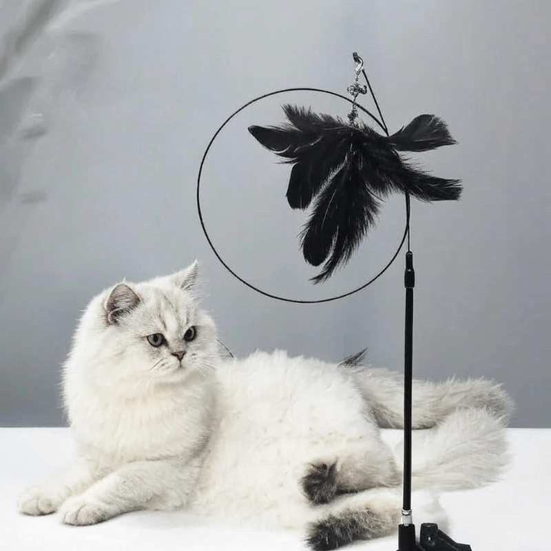 Natural Feather Teaser with Suction Cup