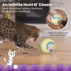Catstages Twist-A-Ball Track Toy
