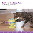 Catstages Twist-A-Ball Track Toy