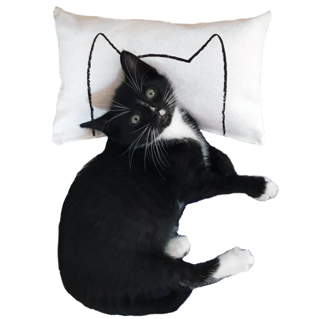 Handmade Catnip Pillow Kicker