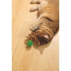 M-Pets Charmy Amulet Silvervine Toy