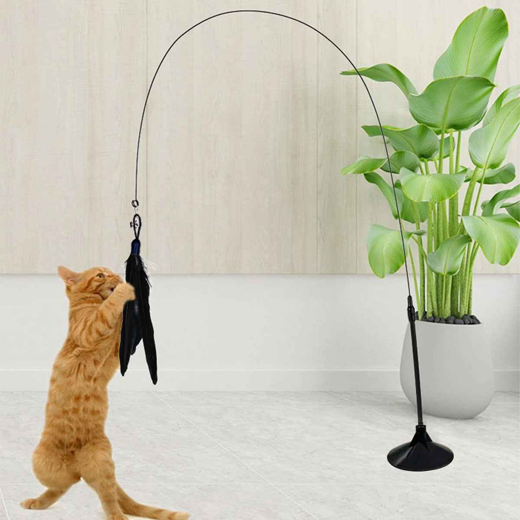Natural Feather Teaser with Suction Cup