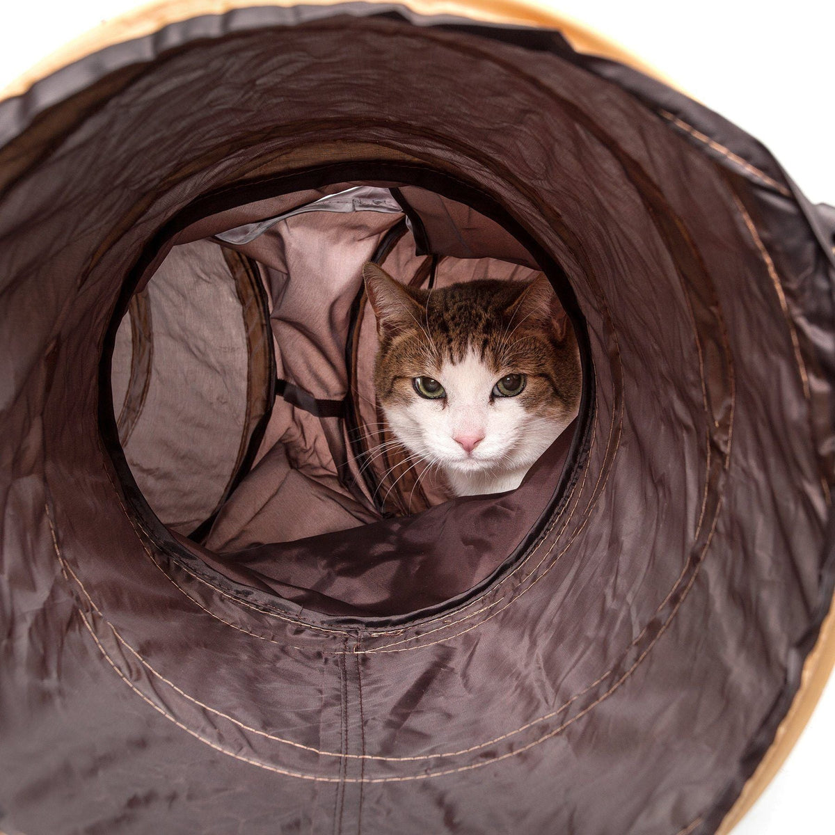 Pet Life 3-Way Collapsible Cat Tunnel