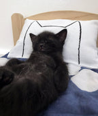 Handmade Catnip Pillow Kicker