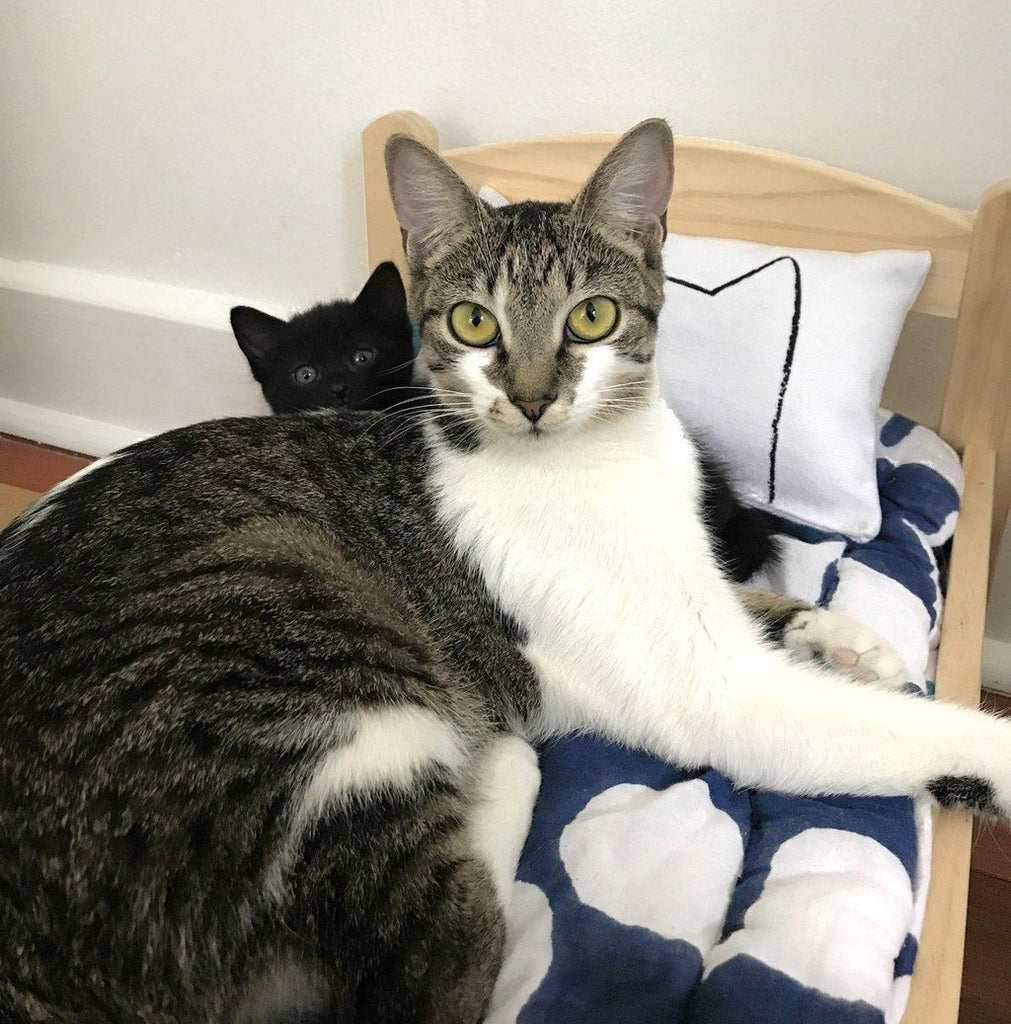Handmade Catnip Pillow Kicker