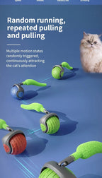 Self-Rolling Teaser Ball, USB Rechargeable